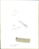 Dog found in Sham. - Vintage Photograph