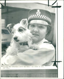 Dog found in Sham. - Vintage Photograph