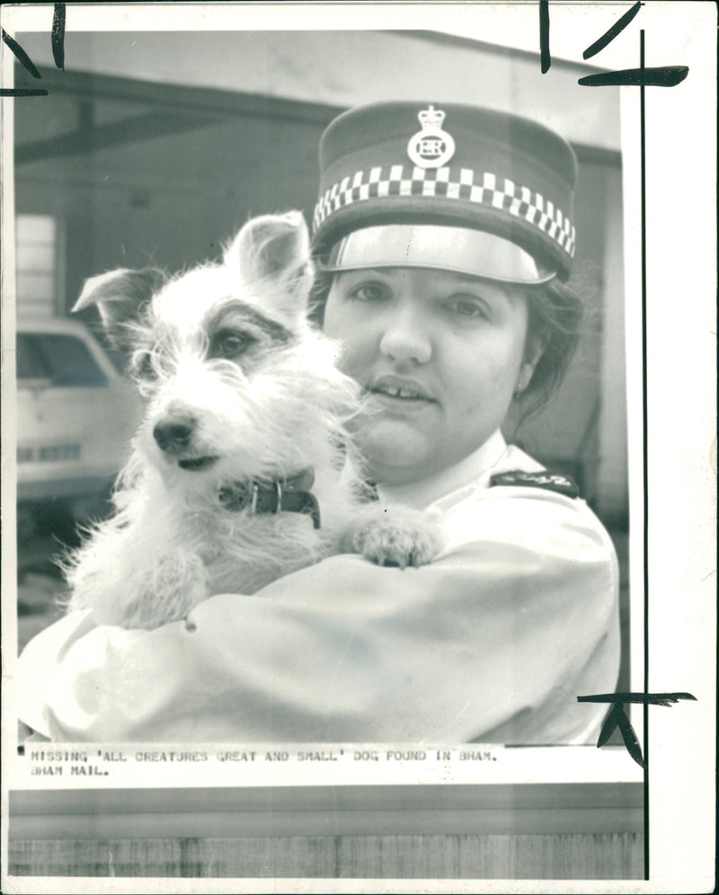 Dog found in Sham. - Vintage Photograph