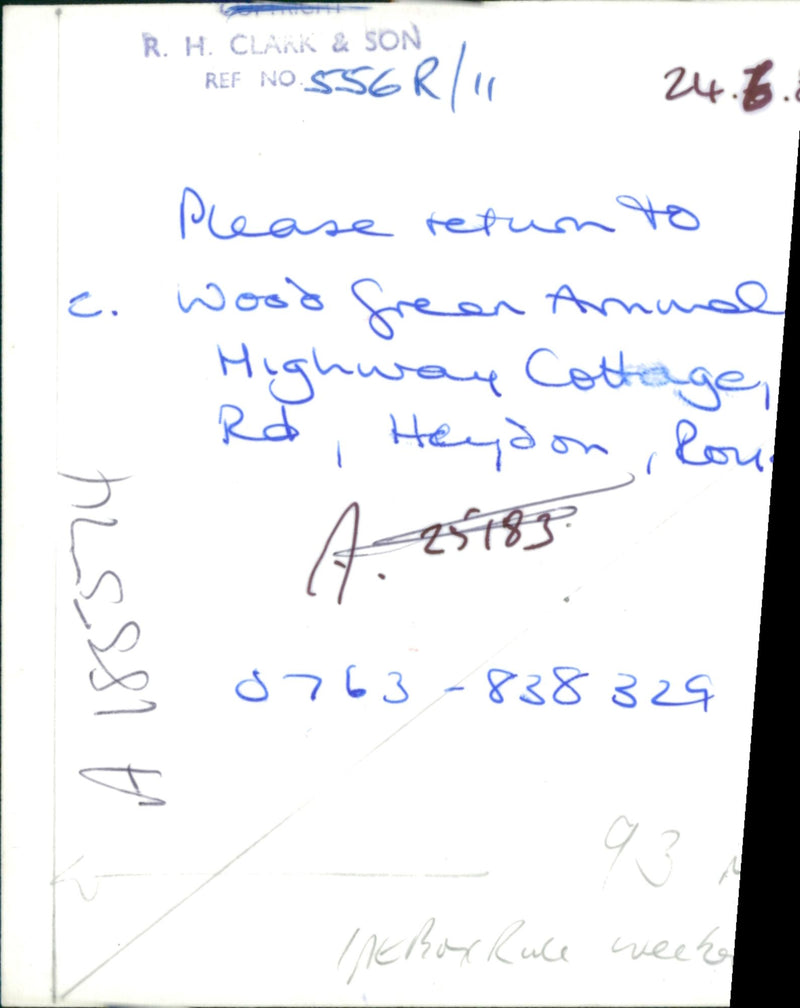 Green Annual Highway cottage. - Vintage Photograph