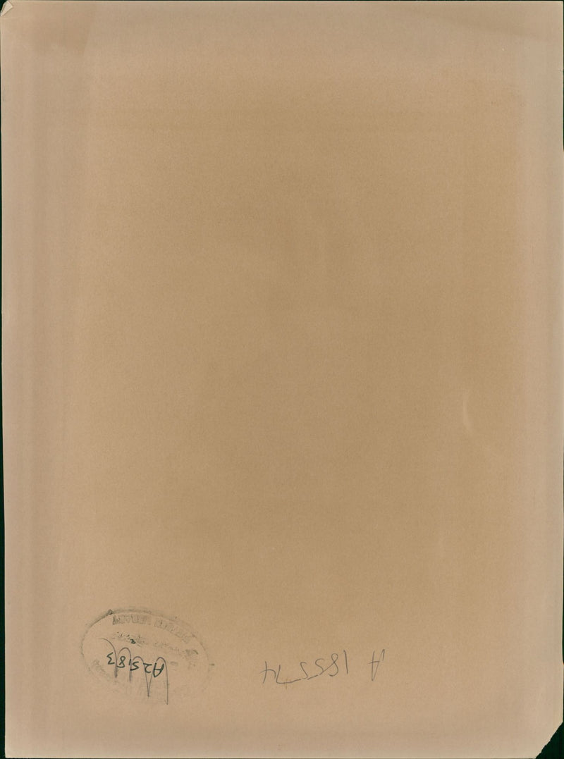 Woman beside the dog. - Vintage Photograph