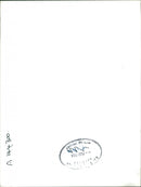 Renault Car - Vintage Photograph