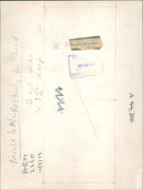 Renault Car - Vintage Photograph