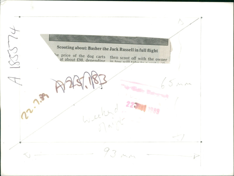 Dog General - Vintage Photograph