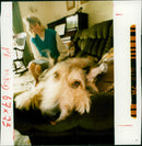 Dog General - Vintage Photograph