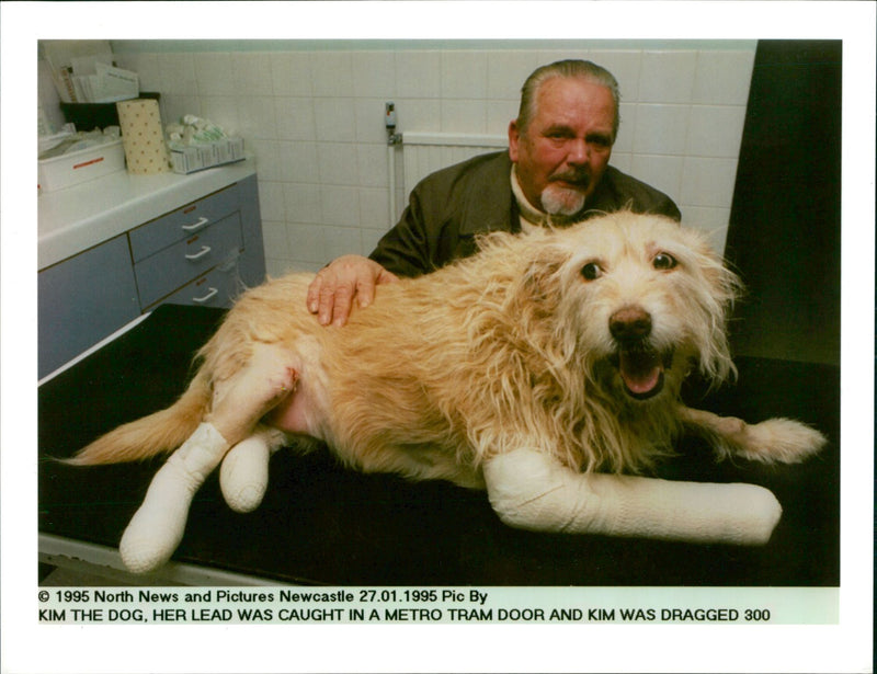 Dog General - Vintage Photograph