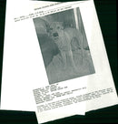 Dog General - Vintage Photograph