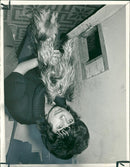 Dog General - Vintage Photograph