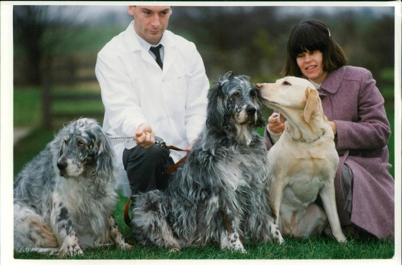 Dog General - Vintage Photograph