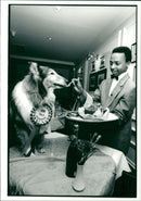 Dog General - Vintage Photograph