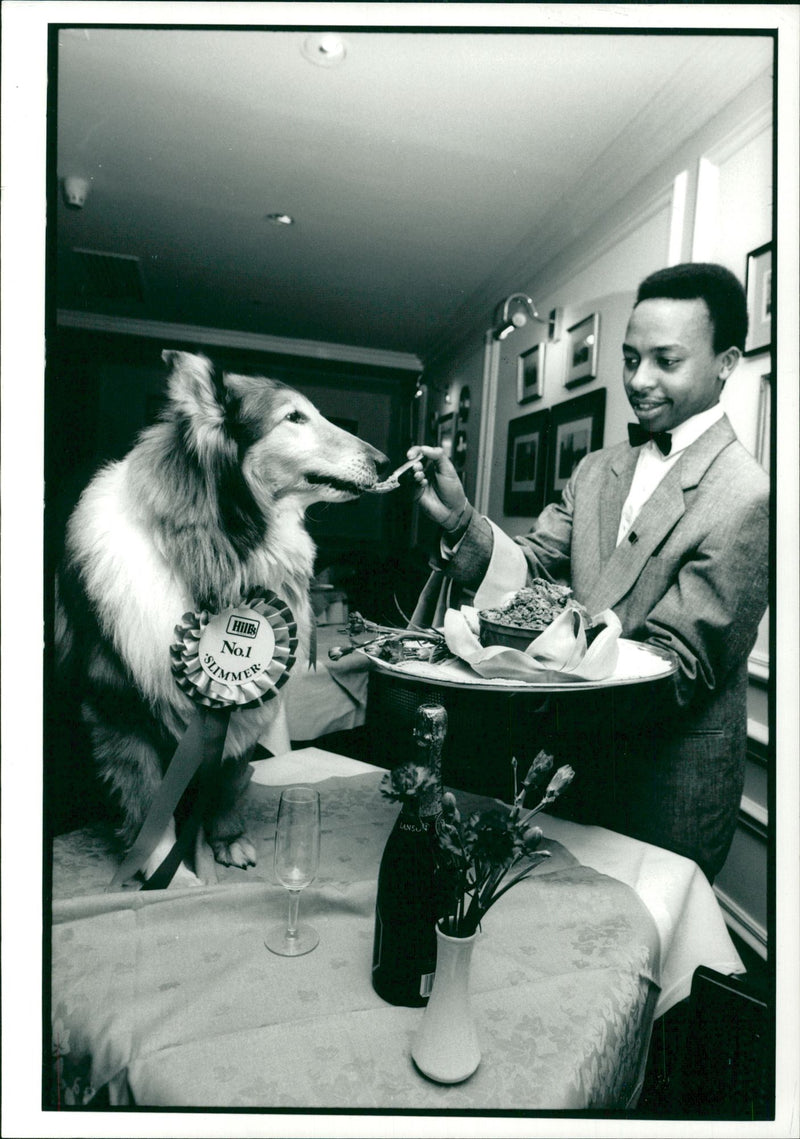 Dog General - Vintage Photograph