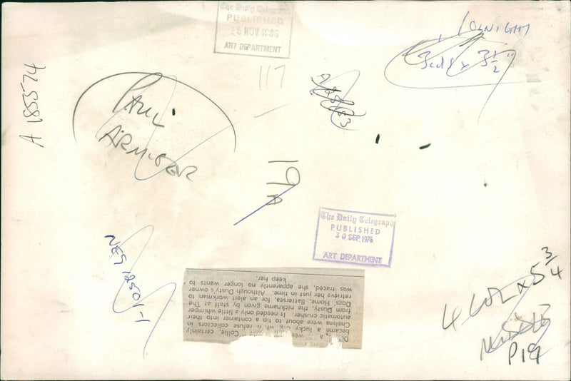 Dog General - Vintage Photograph