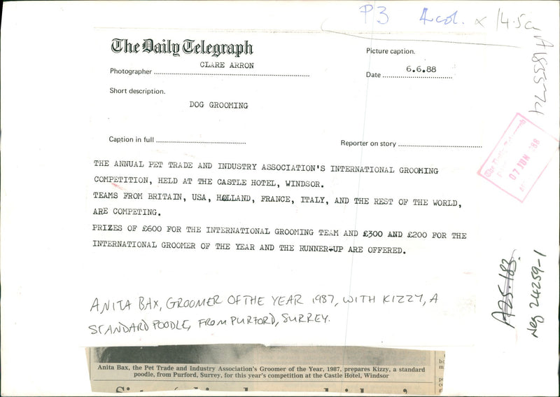 Dog General - Vintage Photograph