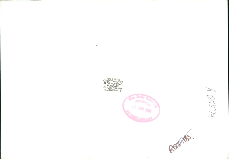 Dog General - Vintage Photograph