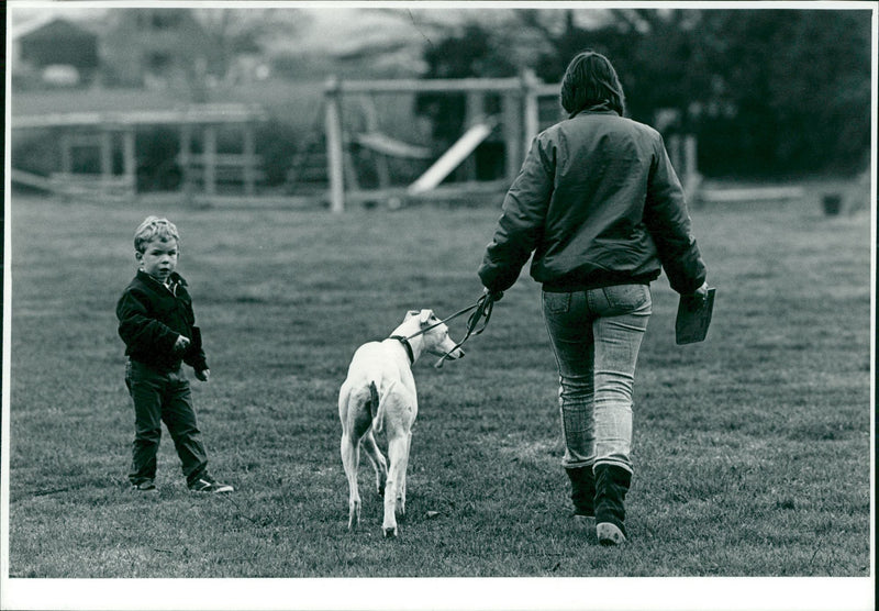 Dog General - Vintage Photograph