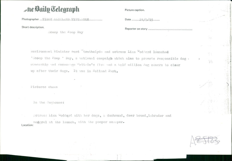 Dog General - Vintage Photograph