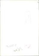 Dog General - Vintage Photograph