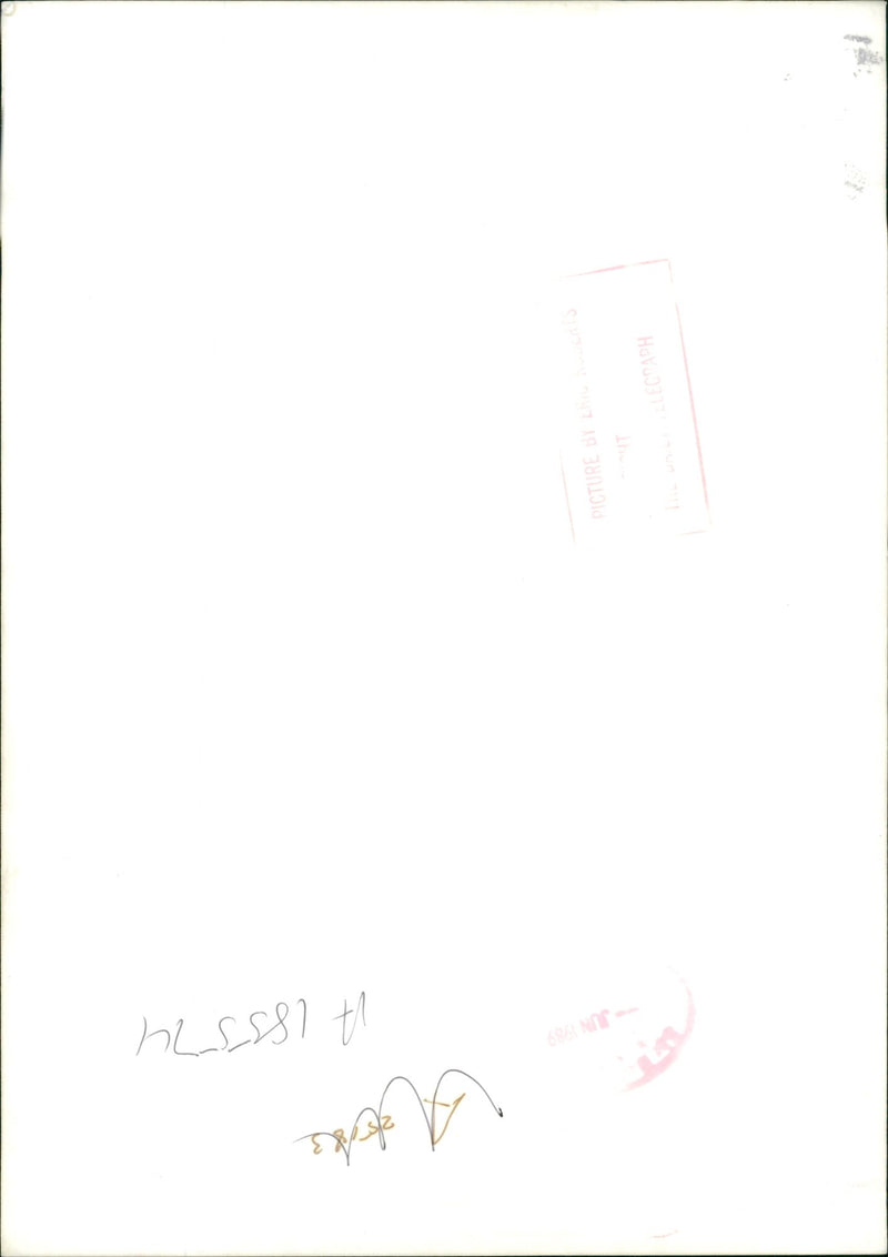 Dog General - Vintage Photograph