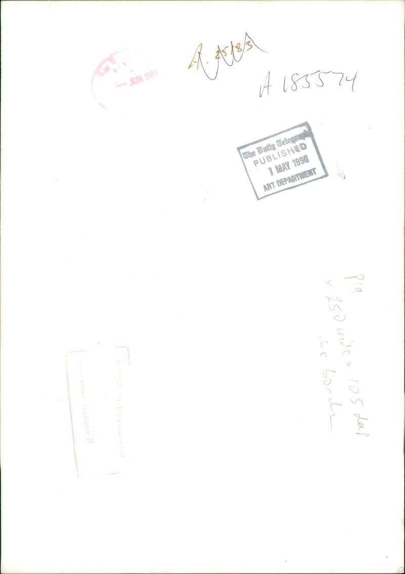 Dog General - Vintage Photograph