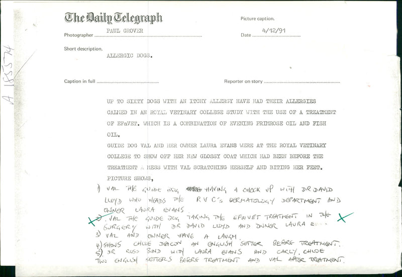 Dog General - Vintage Photograph