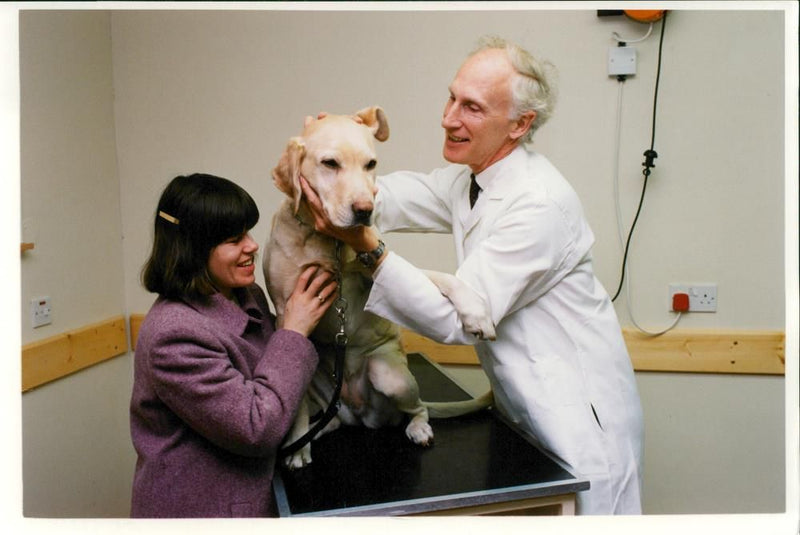 Dog General - Vintage Photograph