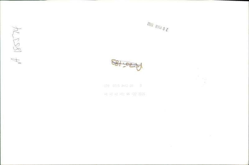 Dog General - Vintage Photograph