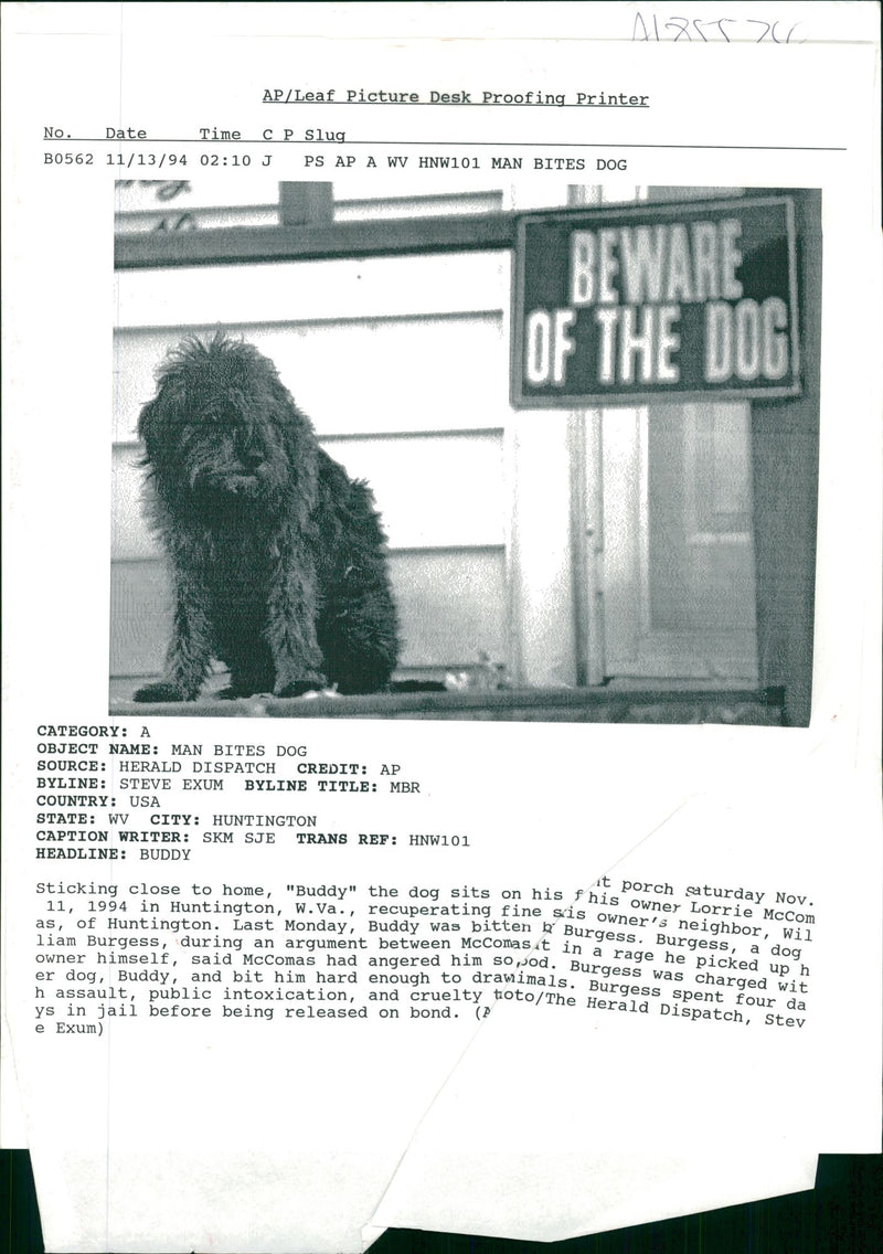 Dog General - Vintage Photograph