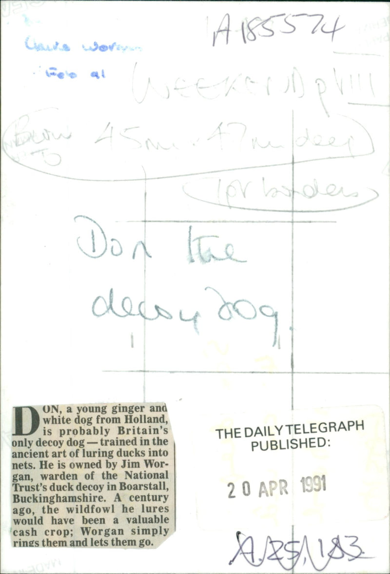 Dog General - Vintage Photograph