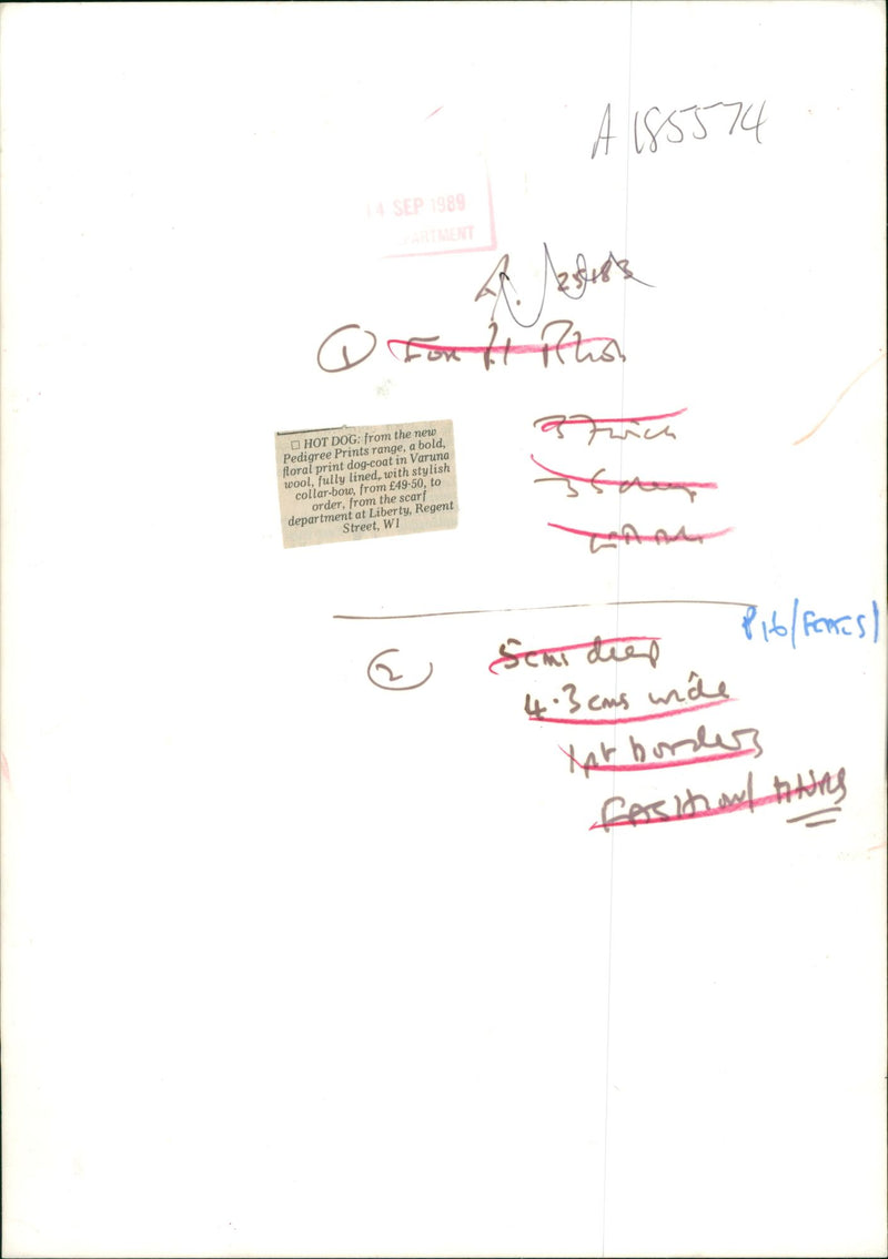 Dog General - Vintage Photograph