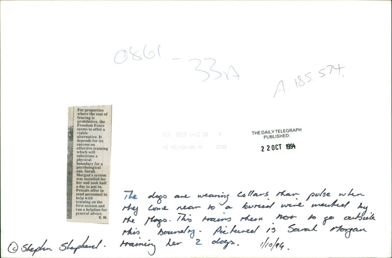 Dog General - Vintage Photograph