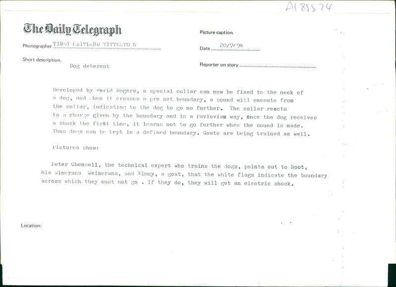 Dog General - Vintage Photograph