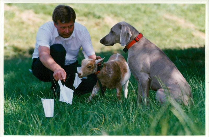 Dog General - Vintage Photograph