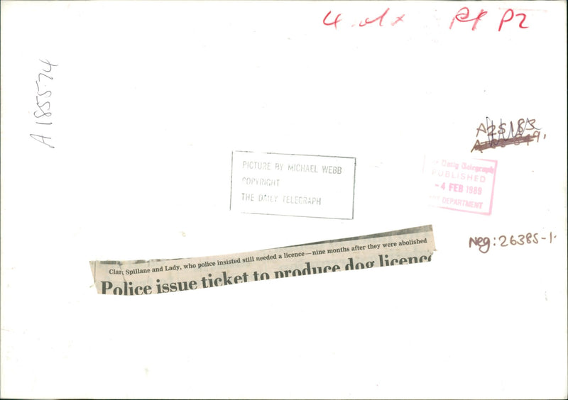 Mr Spillane and Lady. - Vintage Photograph