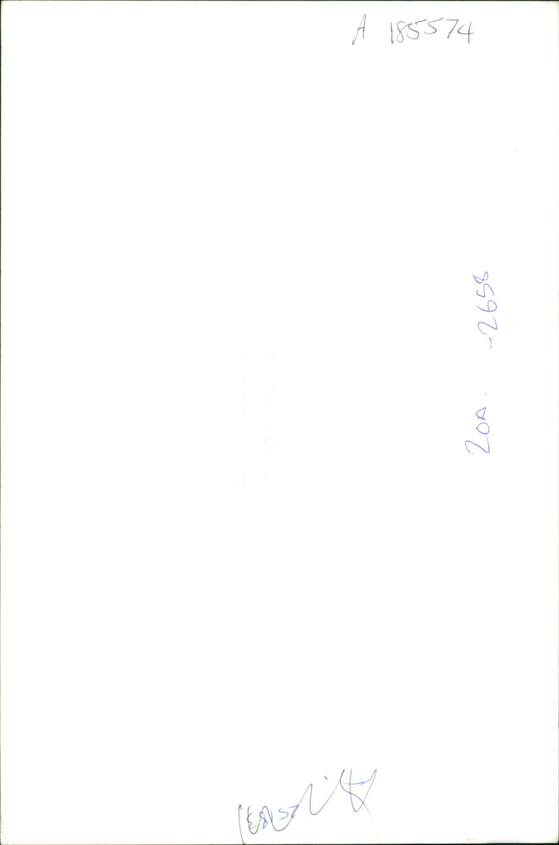 Woman with a dog. - Vintage Photograph