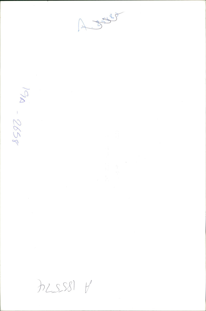 Woman with a dog. - Vintage Photograph