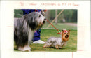 Dogathon - Vintage Photograph
