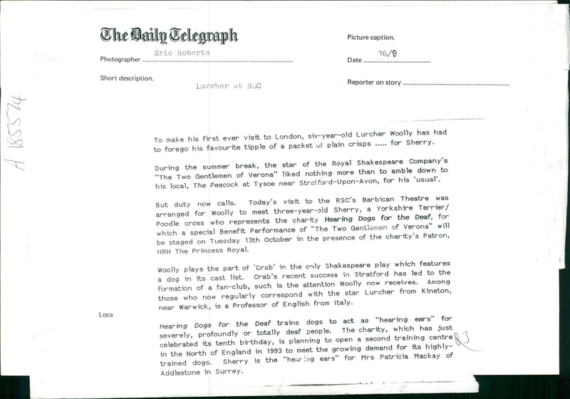 Lurcher at RSC - Vintage Photograph