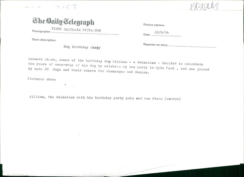 Dog birthday party. - Vintage Photograph