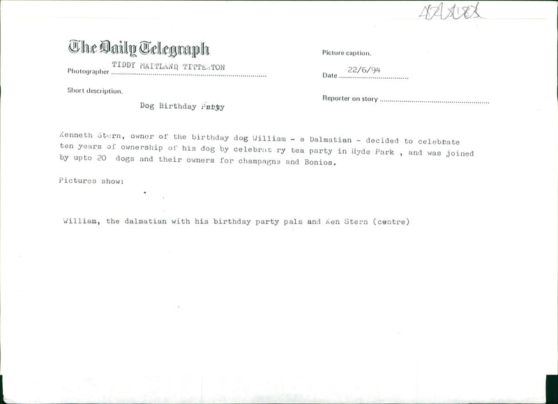 Dog birthday party. - Vintage Photograph