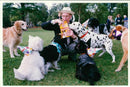 Dog birthday party. - Vintage Photograph