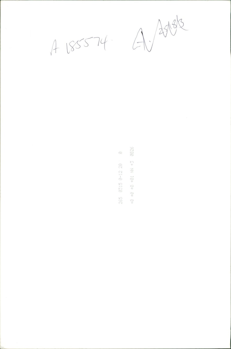 Women with Dogs. - Vintage Photograph