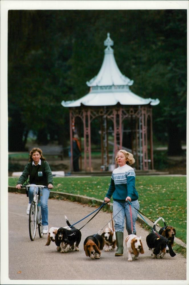 Women with Dogs. - Vintage Photograph