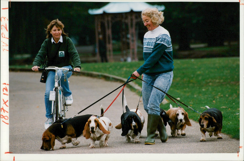 Women with dogs. - Vintage Photograph