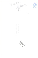 Women with dogs. - Vintage Photograph