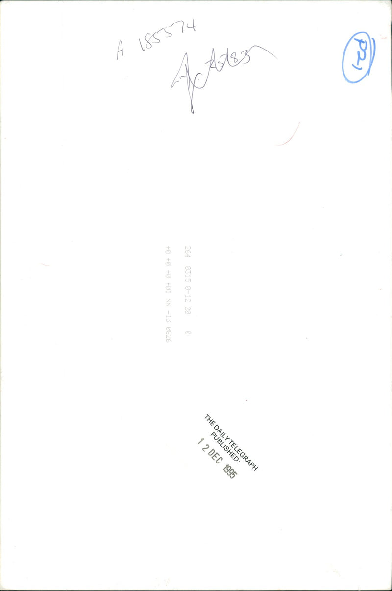 Women with dogs. - Vintage Photograph