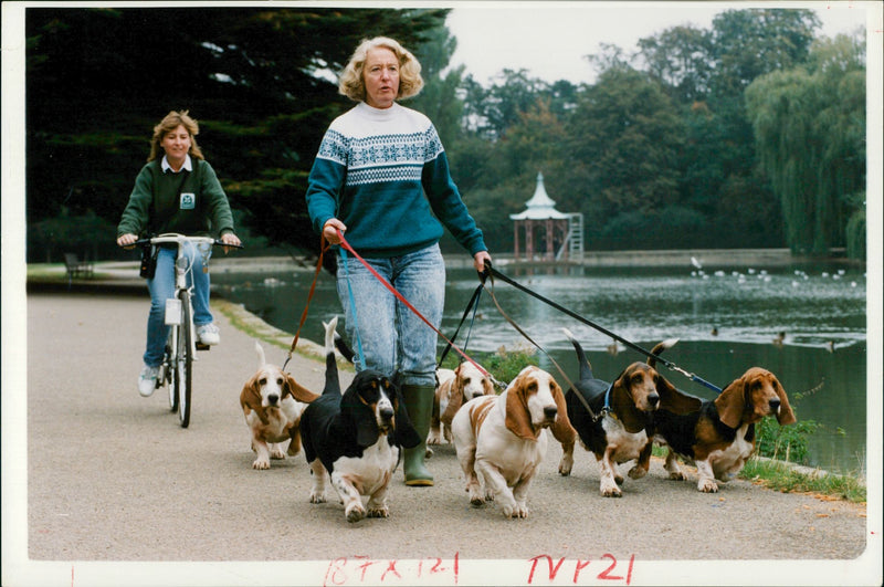 Women with dogs. - Vintage Photograph