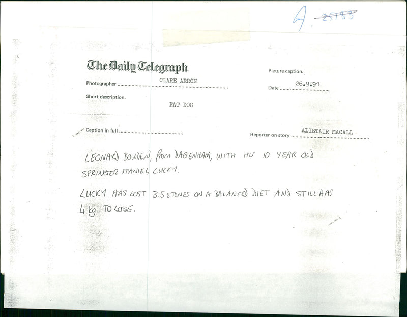 Fat Dog - Vintage Photograph