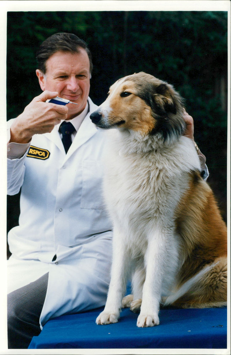 Scott and Terence Bate. - Vintage Photograph