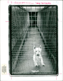 A frightening lesson on a French beach. - Vintage Photograph