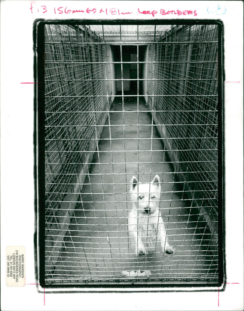 A frightening lesson on a French beach. - Vintage Photograph